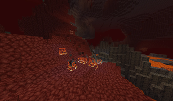 Fire in the nether