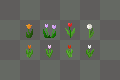 Flower variants 4