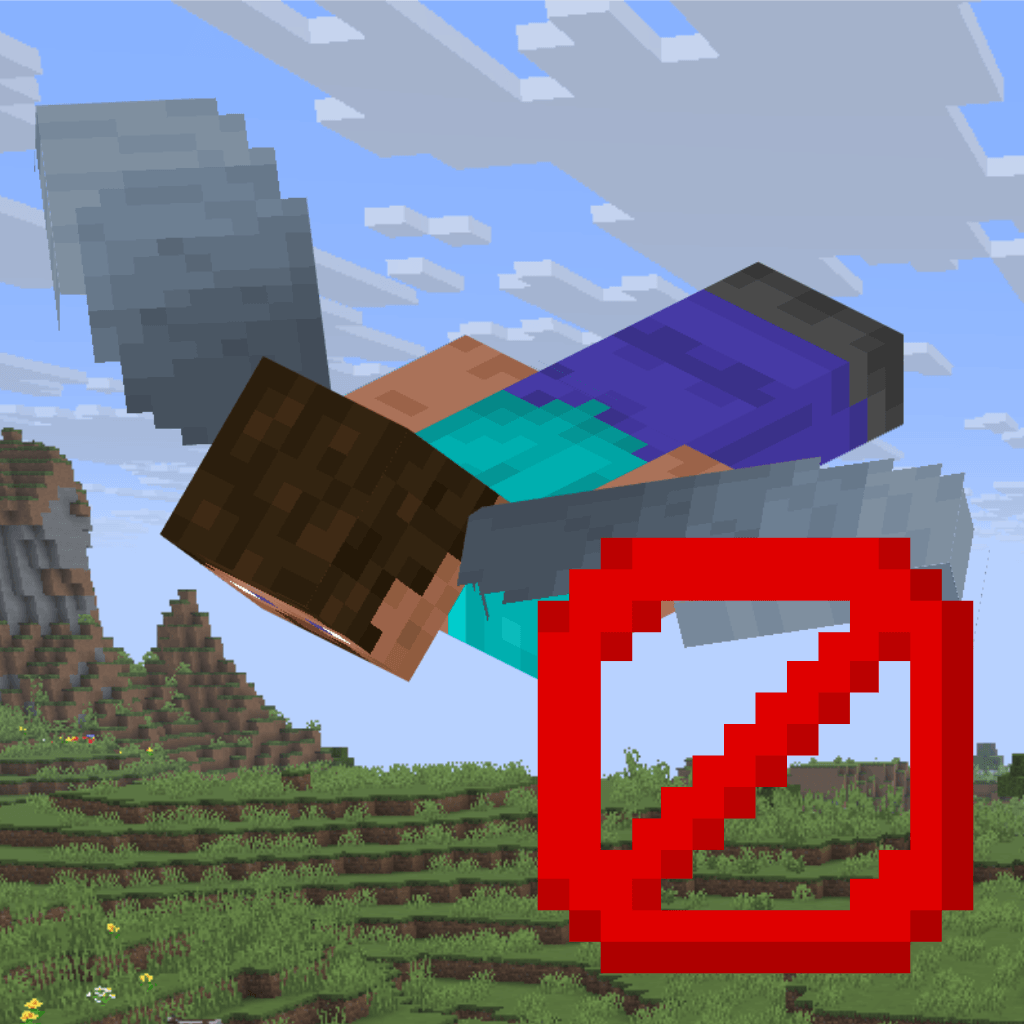 No Elytra Flight