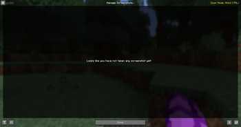 Screenshot viewer