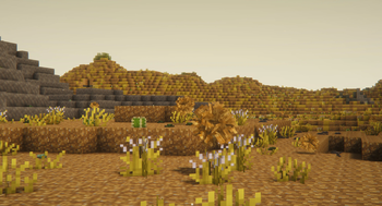 Tumbleweeds