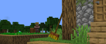 The Broom