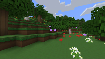 forest
