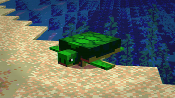 8bit turtle