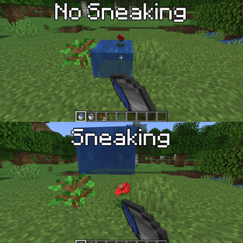 Small Plant Placement Behaviour