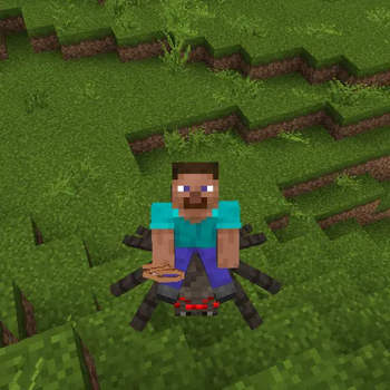 spider