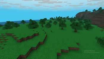 The Peaceful Grasslands