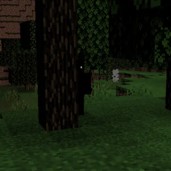 Stalking