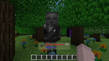 ICY now has Entity support!