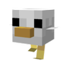 White Baby chicken