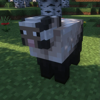 Inky Sheep