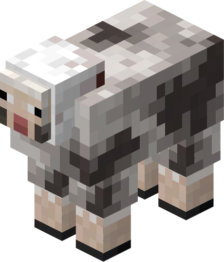 Rocky Sheep