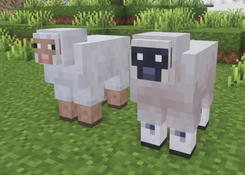 Default and Patched Sheep