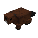 BlockyBeavers