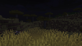 Night Fog