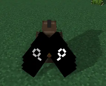 elytra example 2