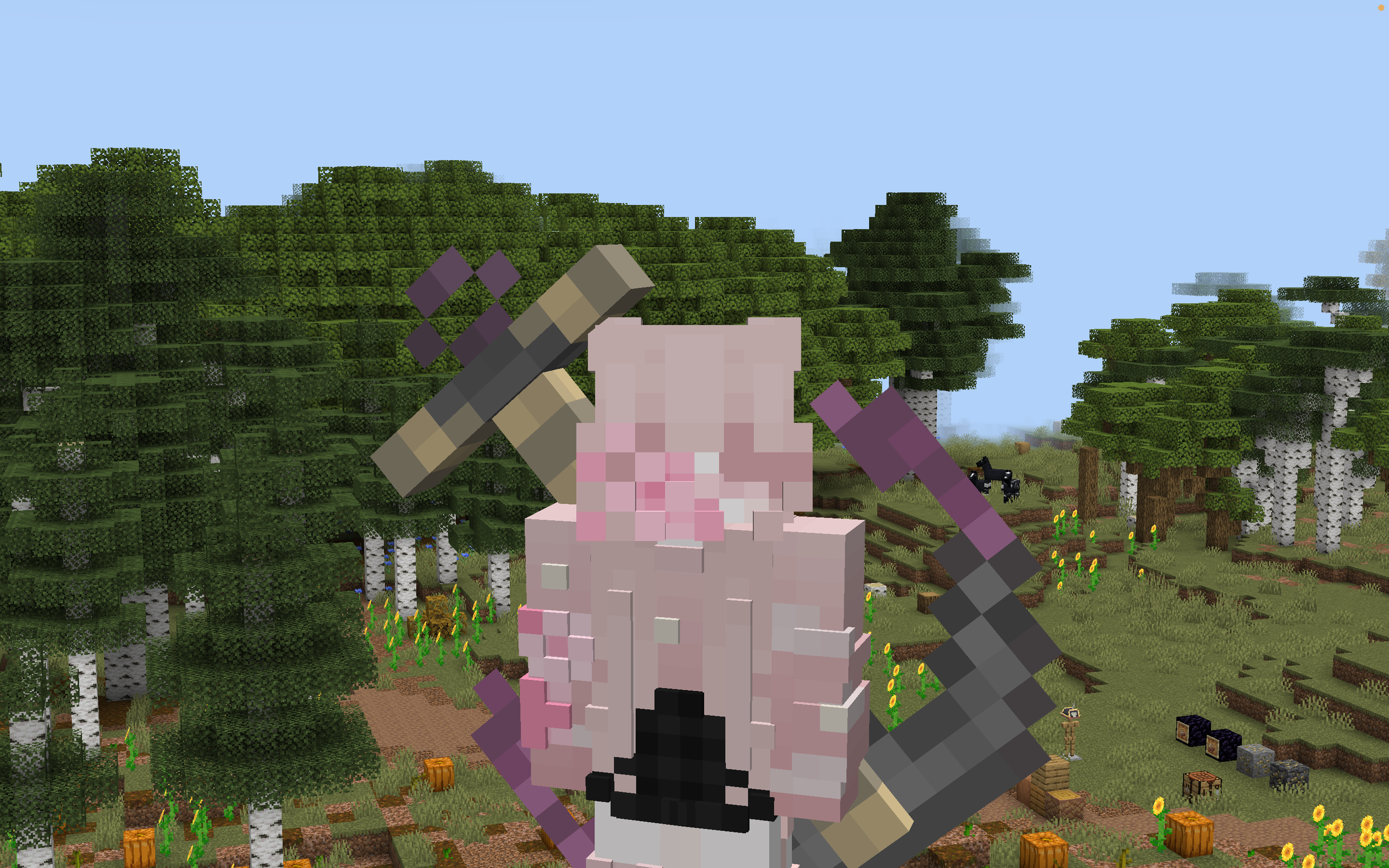 PirateDiveStormHeartFeature