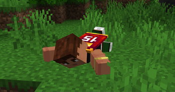 Crawling