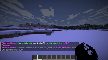 /gems add