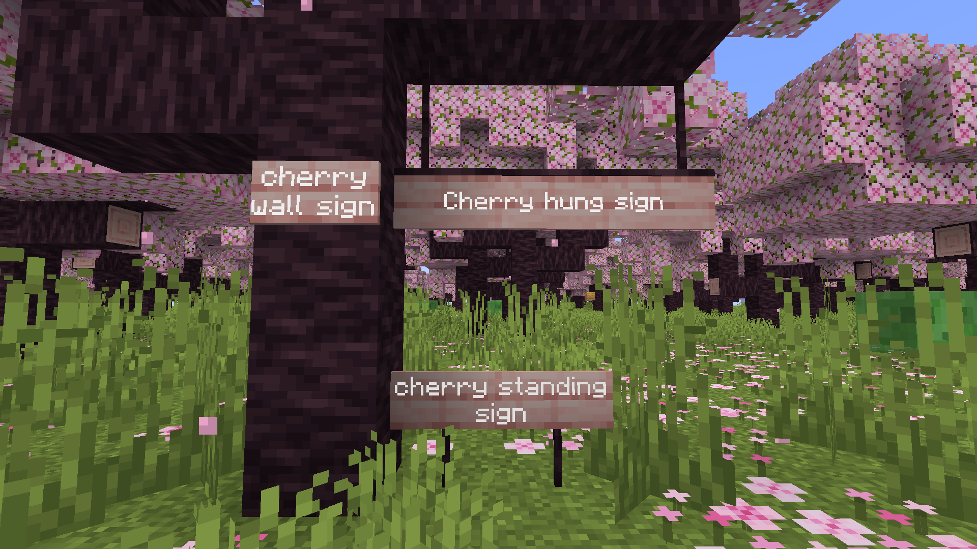 The cherry signs
