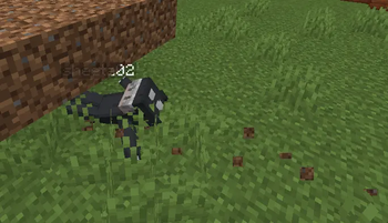 1 block height