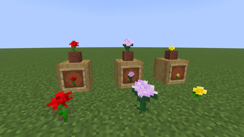 Items
