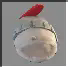 tumor