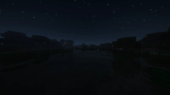 A swamp at night