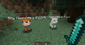 Foxes sitting