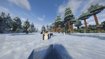 Penguins