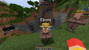 Villager and canyon
