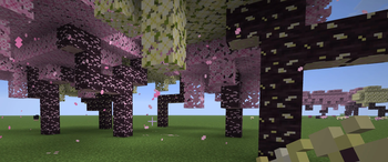 Cherry Forest 