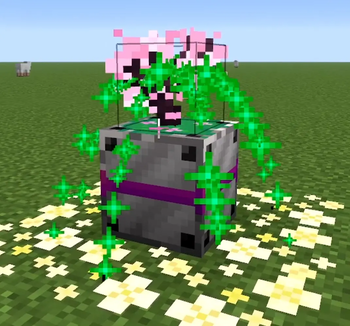 Sapling infusion 