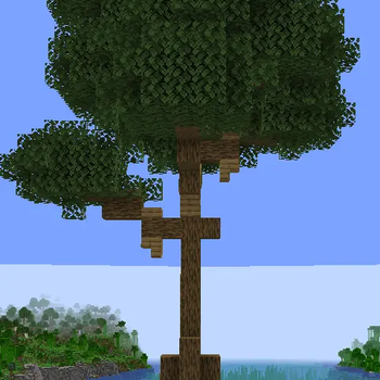 Oak type oak shape