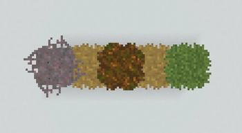 All Grass Types