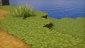 Photon Shaders