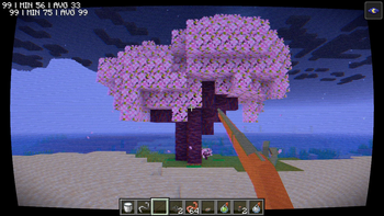 Beautiful Tree with Musket.