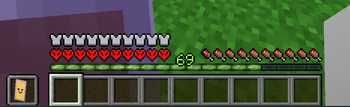 TotallyOnHardcore