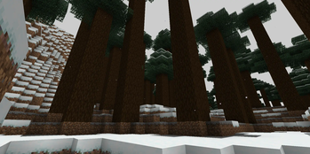 Solved Forest.