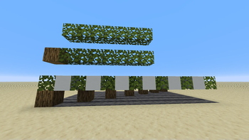 Showcase - Leaves