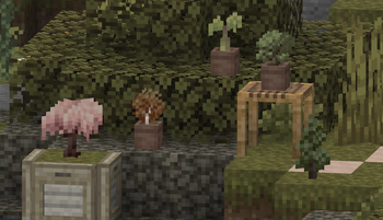 saplings