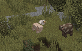 pig, chicken, cow [temperate]