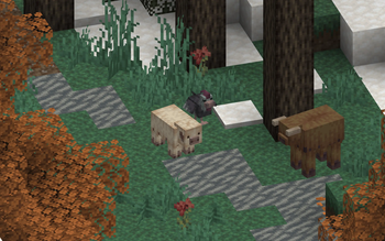 pig, chicken, cow [cold]
