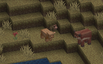 pig, chicken, cow [warm]