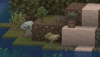 saplings, cont.
