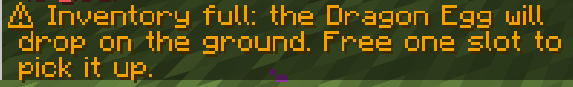 Error Message when you want to put it in the EnderChest LookBio