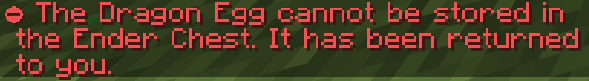 Error Message when you want to put it in the EnderChest