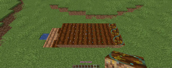 Types of Farmland