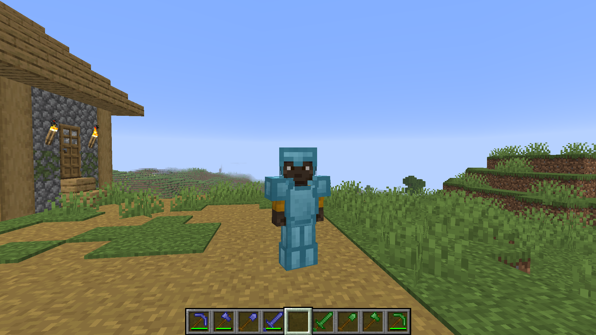 There is a player with lapis tools and armor and villager tools.