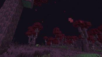 Orchestral Grove